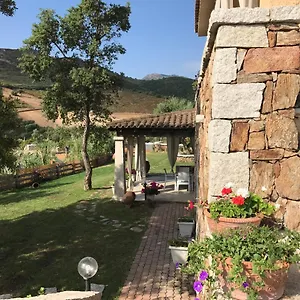 Aparthotel Il Giardino Di Daniela San Teodoro (Sardinia)
